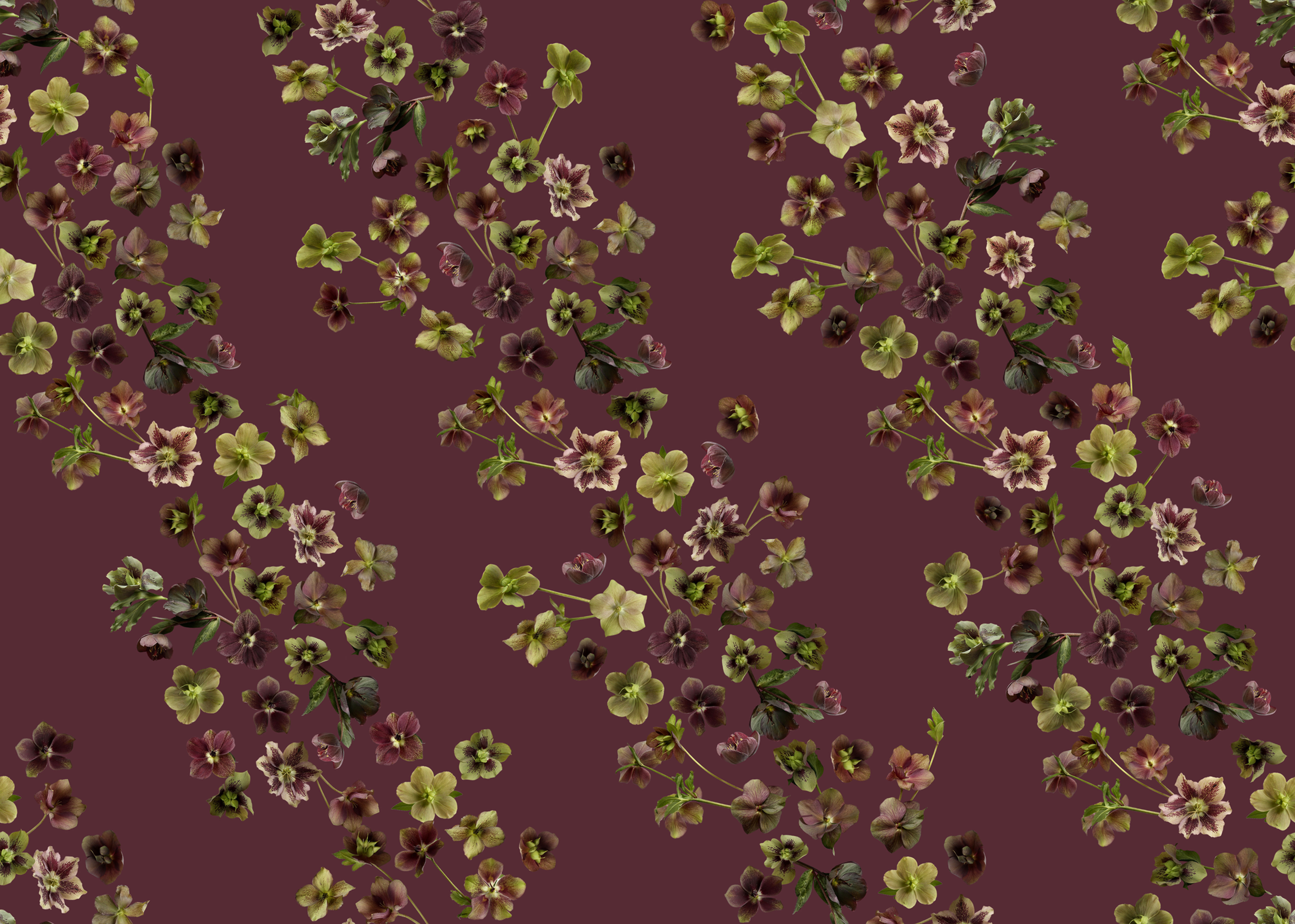 Hellebore Mulberry - Grasscloth