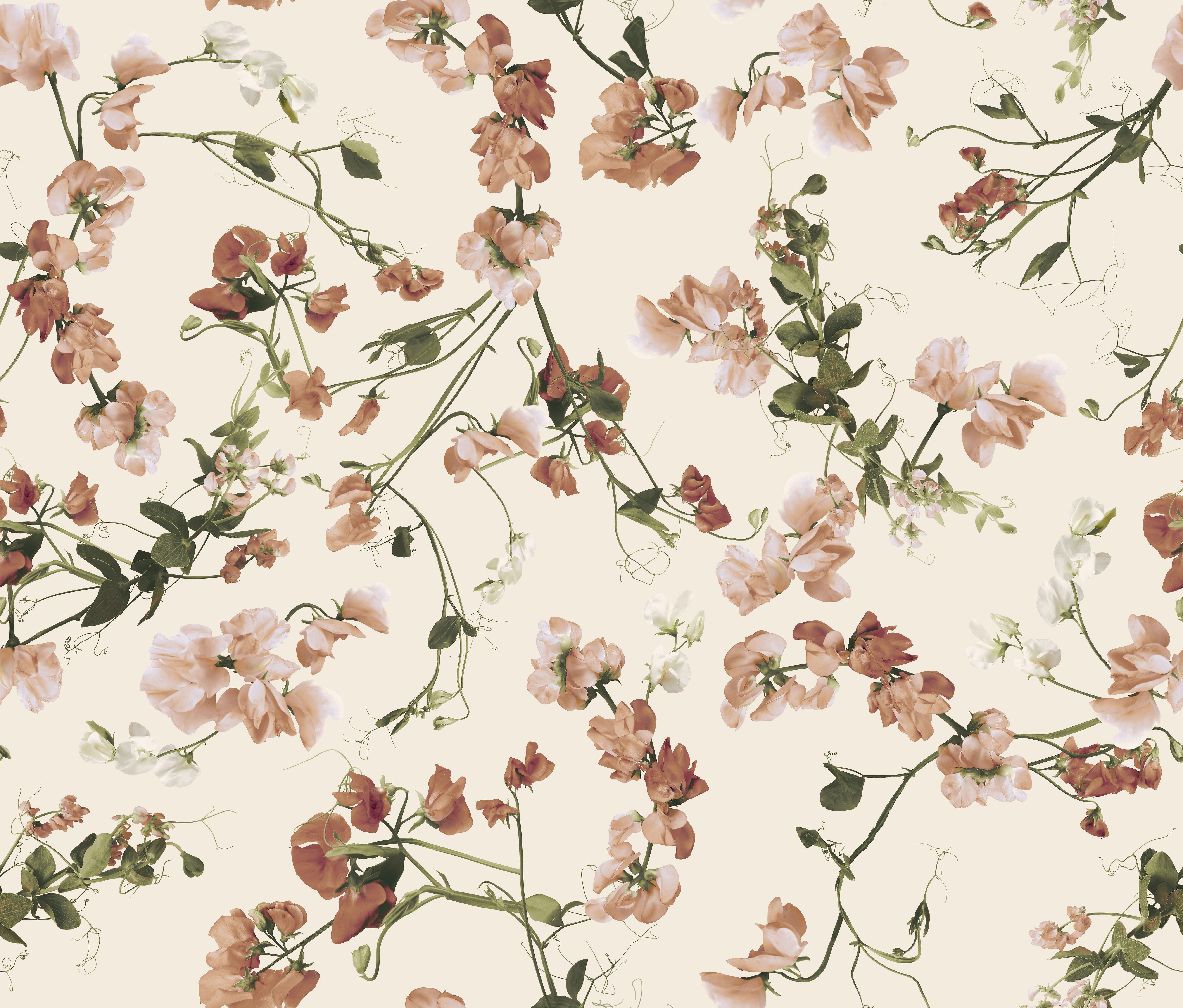 Sample - Sweetpea Wallpaper in Antique - Grasscloth