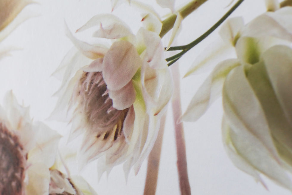 Thumbnail: Blushing Bride Wallpaper Mural