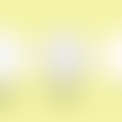 How to Smooth Textured Walls for Wallpaper: Step-by-Step Guide for the Best Results