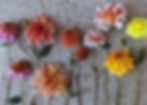 Colorful  dahlias arranged  in a flatlay on a textured stone background, displaying shades of pink, orange, and yellow.