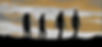 6MUSIK hell