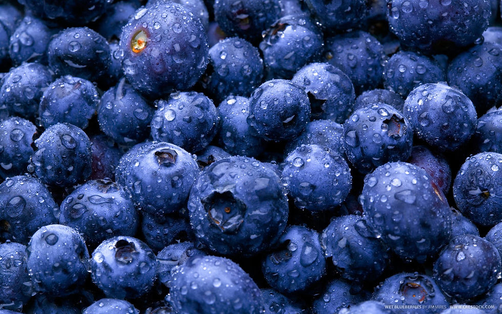 blueberries.jpg
