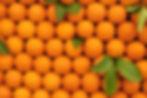 oranges783917_99091356 (1).jpg