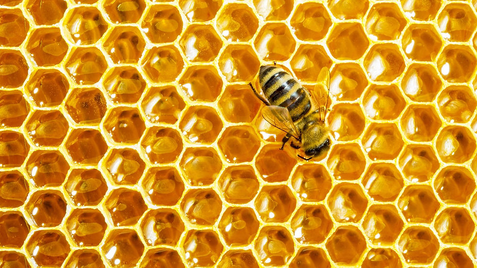 Honey