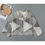 Miniaturbild: Shades of Grey Cropped Jacket | 245GSM Cotton