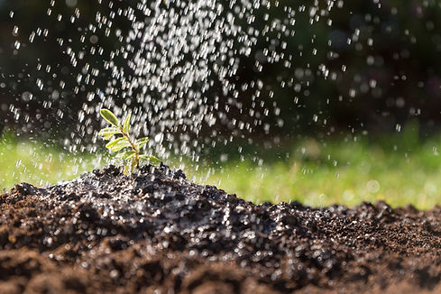 water-falling-plant.jpg