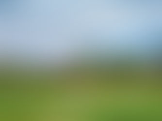 Designing of a beautiful Softscape (Landscape)