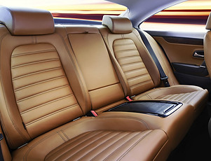 Tan-Leather-Upholstery.jpg