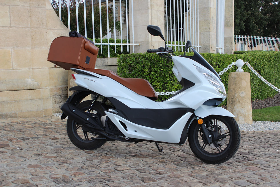 Malle de transport Moto/Scooter