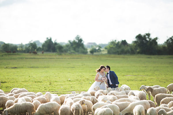 Hochzeit im Freien Fotografie