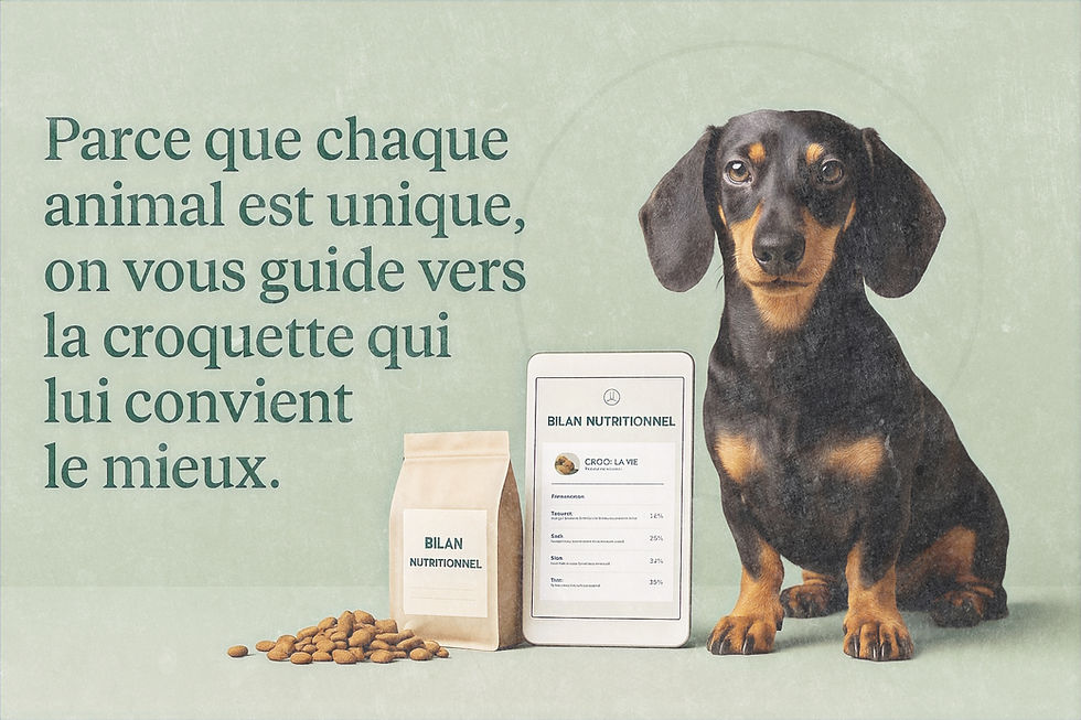 356A08BB-AFC9-4DEE-BECE-4ECB5D7A46C5_edi