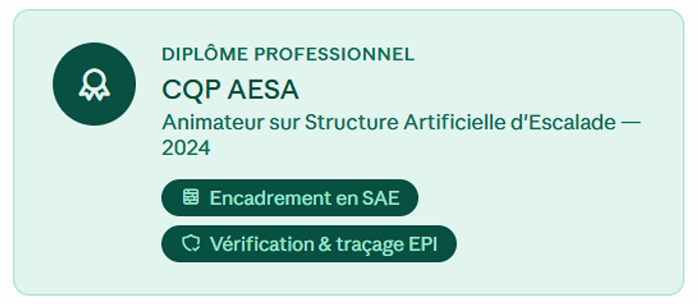Badge diplôme professionnel CQP AESA vert clair