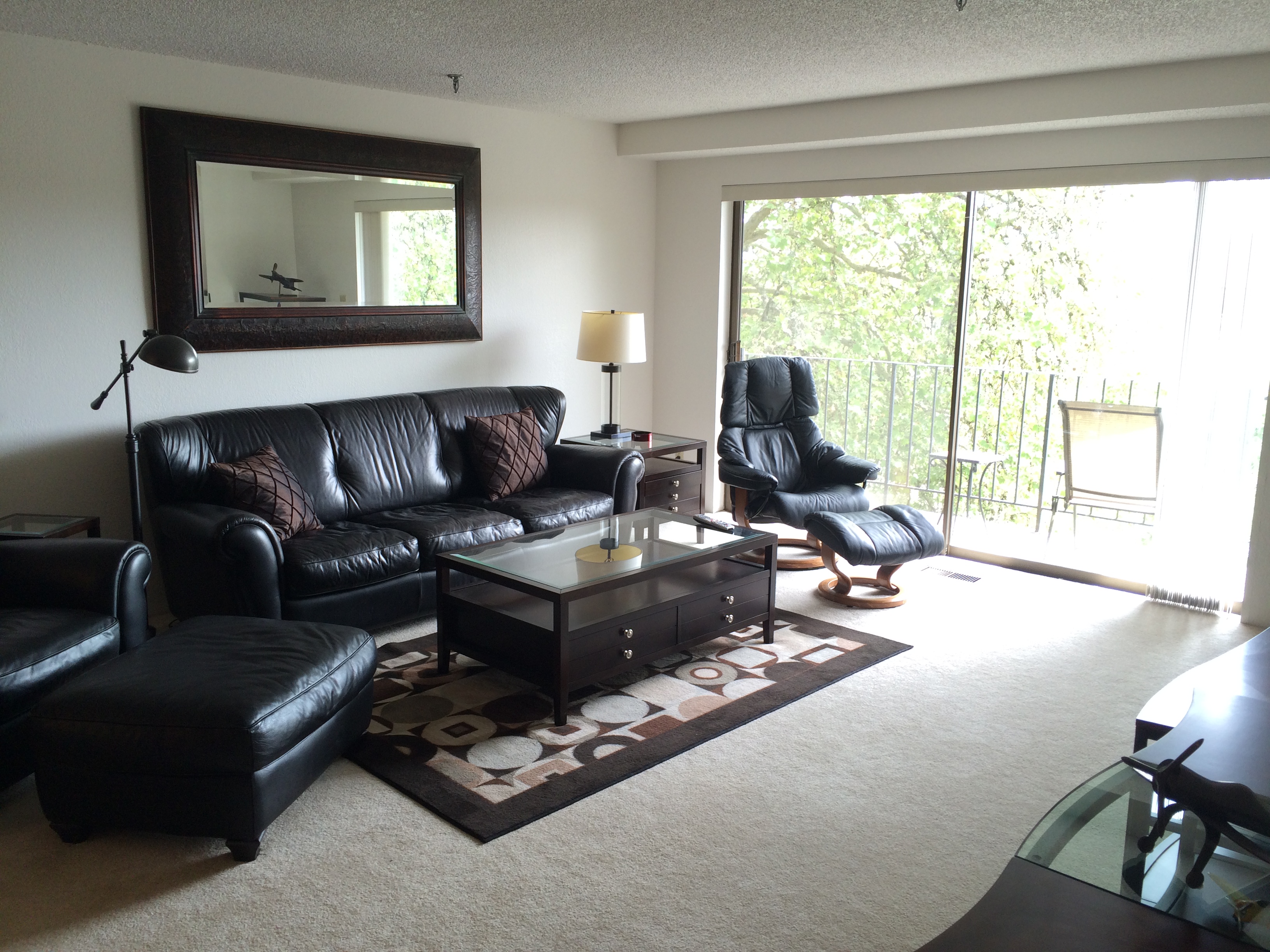 Park Plaza Apartments Corvallis One Bedroom