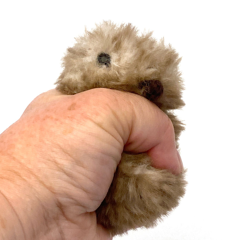 Thumbnail: Baby Kiwi being squished in hand