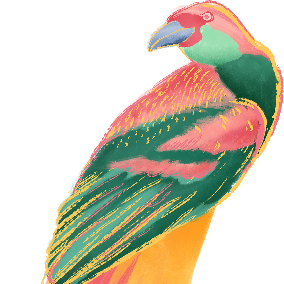 Colorful Bird