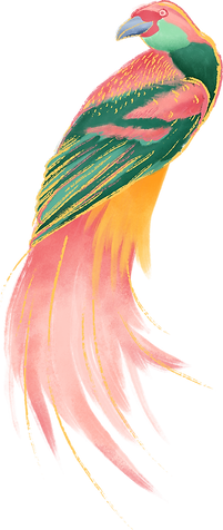 pájaro colorido