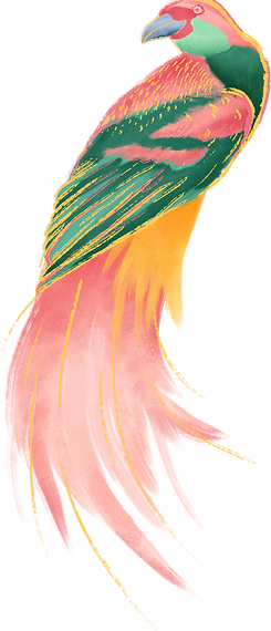 oiseau coloré