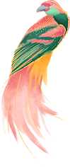 Colorful Bird