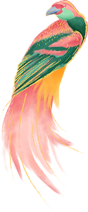 oiseau coloré