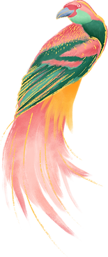 Colorful Bird
