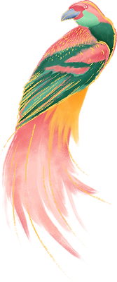 Colorful Bird