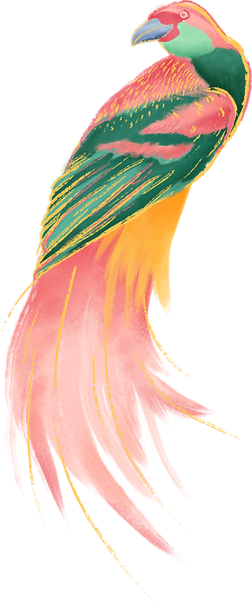 Colorful Bird