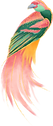 Colorful Bird