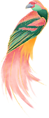 Colorful Bird