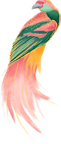 Bunter Vogel
