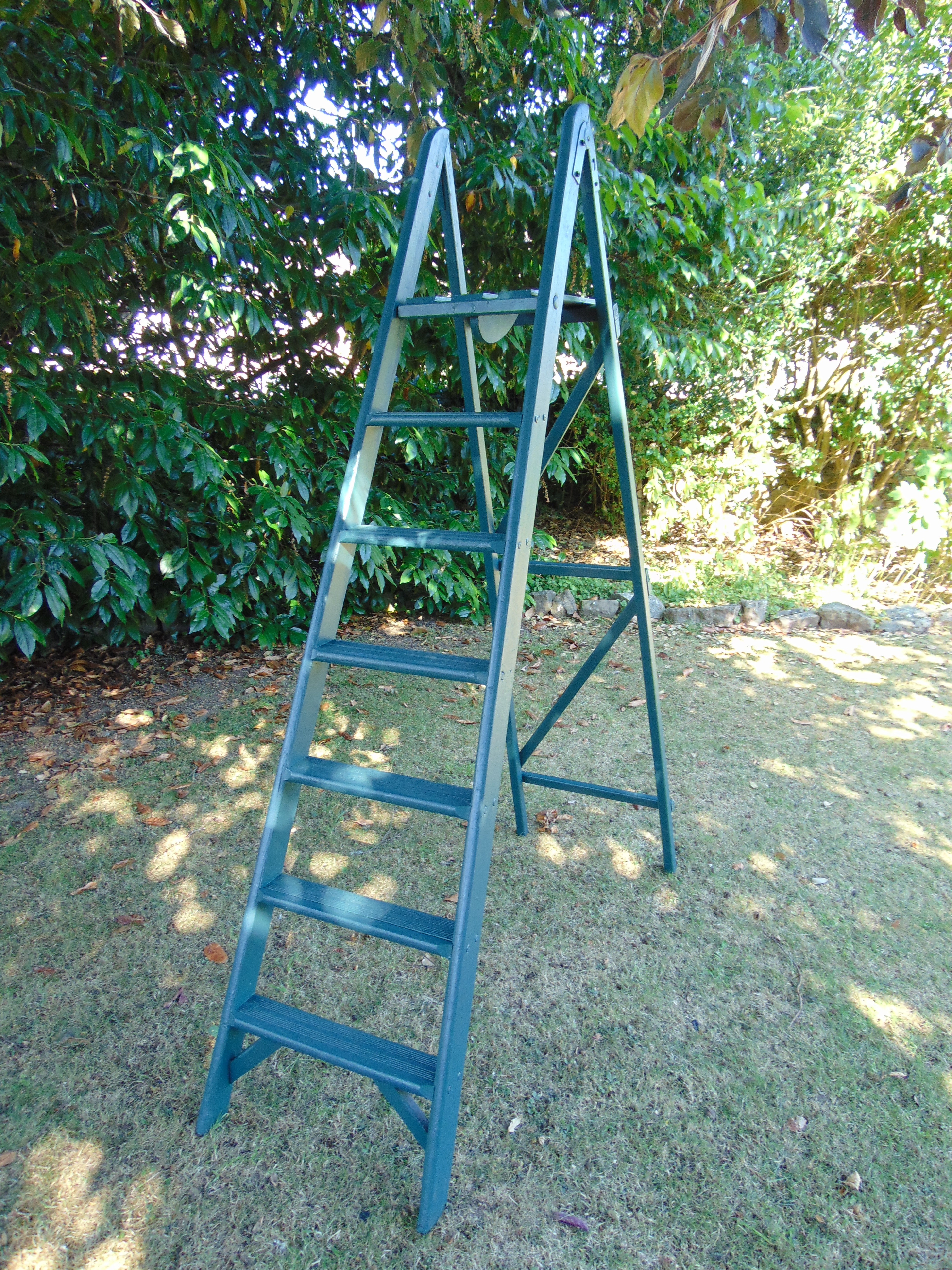 Green Step Ladder