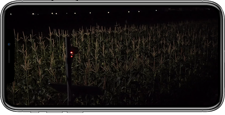 video (1).png