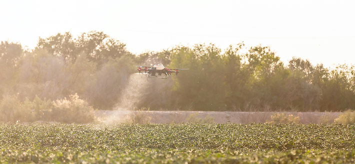 Drone on a farm