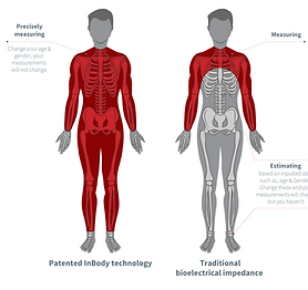 Screen Shot 2019-10-15 at 10.24.28 am.pn