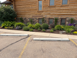 Shrubs and Flower