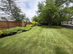 Green Grass Maintenance
