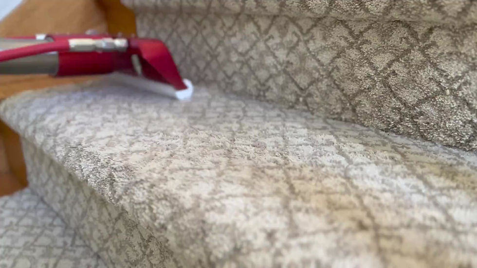 About Elite Carpet Cleaning Chico