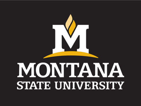 MSU-logo-black-400x300px.jpg