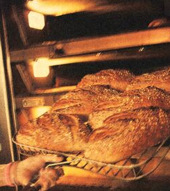 Screen Shot 2022-02-07 at 9.31.14 PM.png