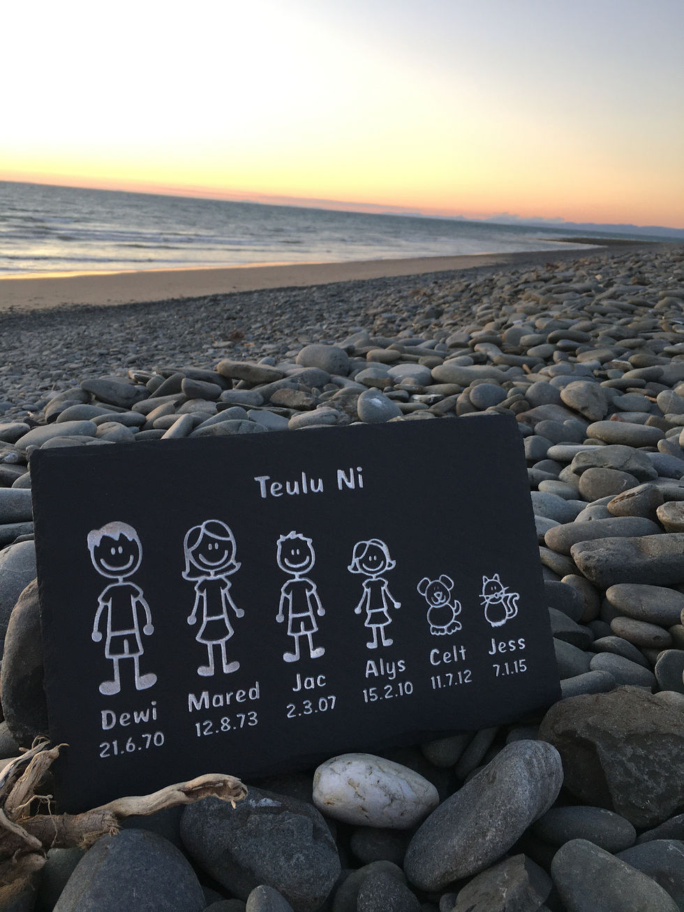 Teulu Ni / Our Family