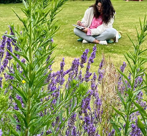 lavender in la maison de lartiste