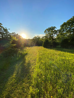 sun