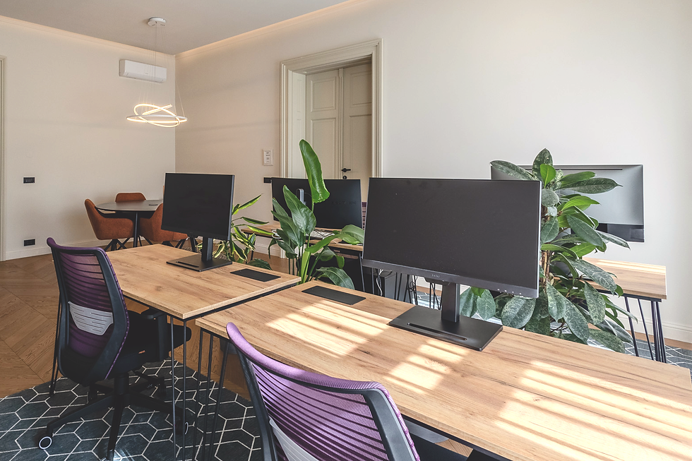 Birouri de lucru cu monitoare și scaune ergonomice, într-un spațiu luminos cu plante verzi.