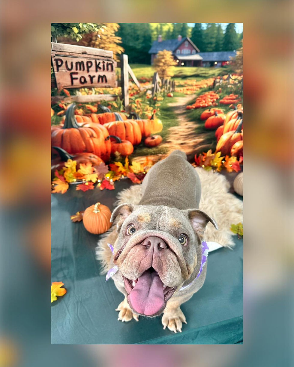 386587864_333975445671475_7074686033387173136_n