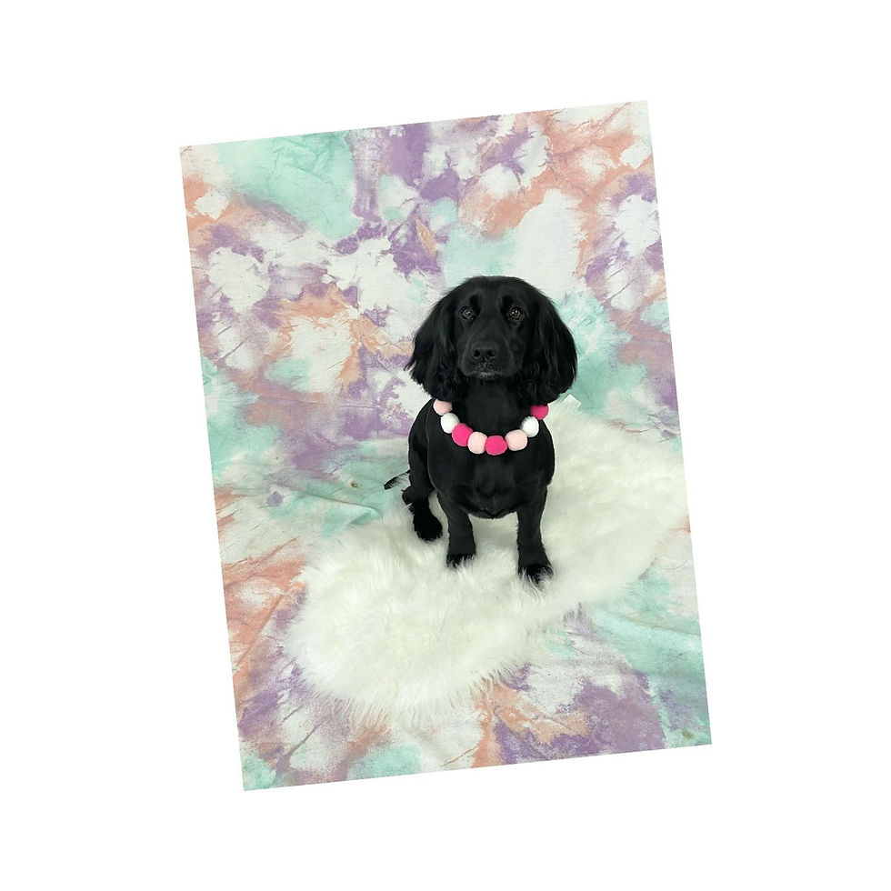 298562961_185361713866183_8362842751803241067_n