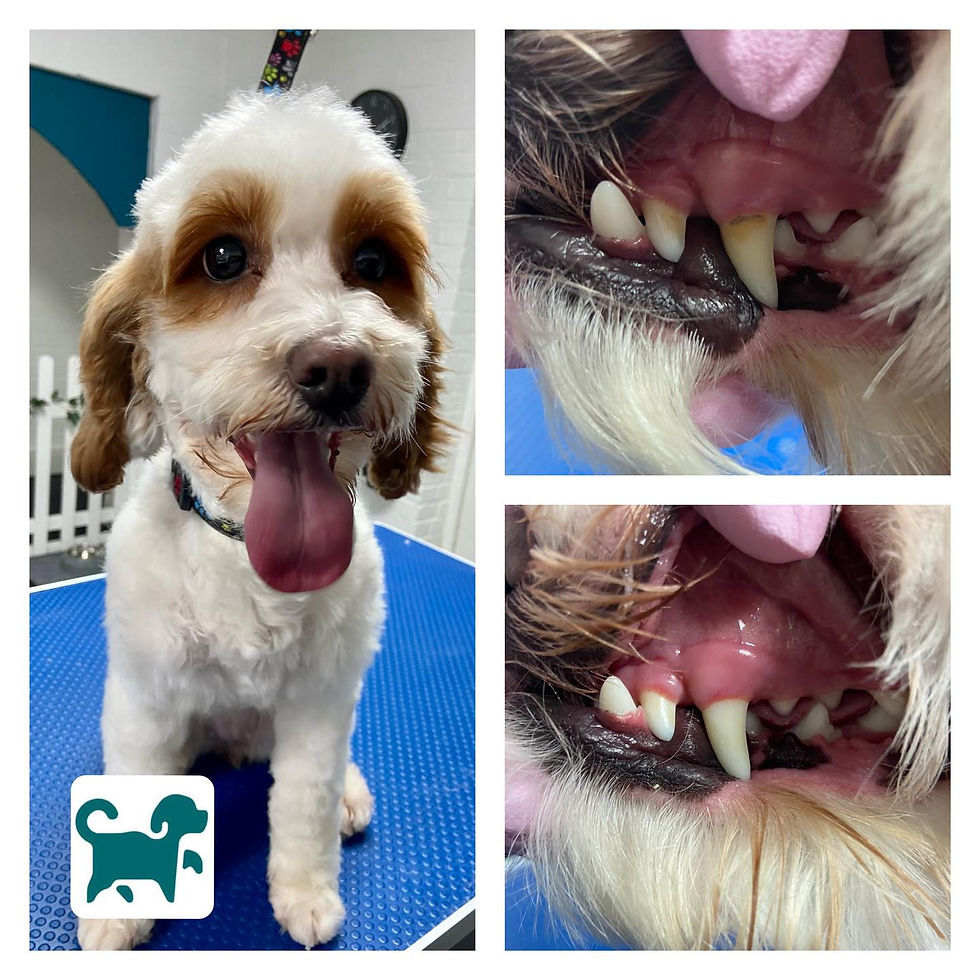 318595550_205510925184595_8496297782686672126_n