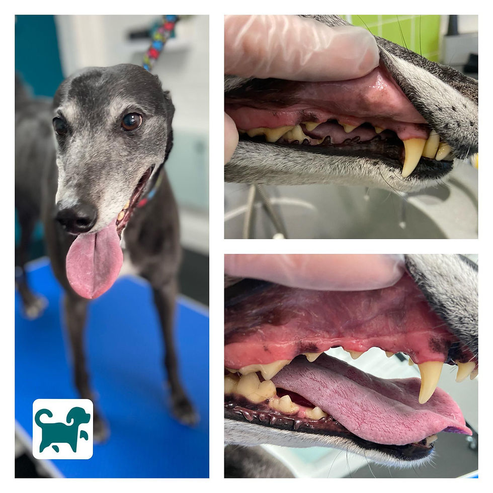 285631046_1073086193284313_4367229259607425056_n