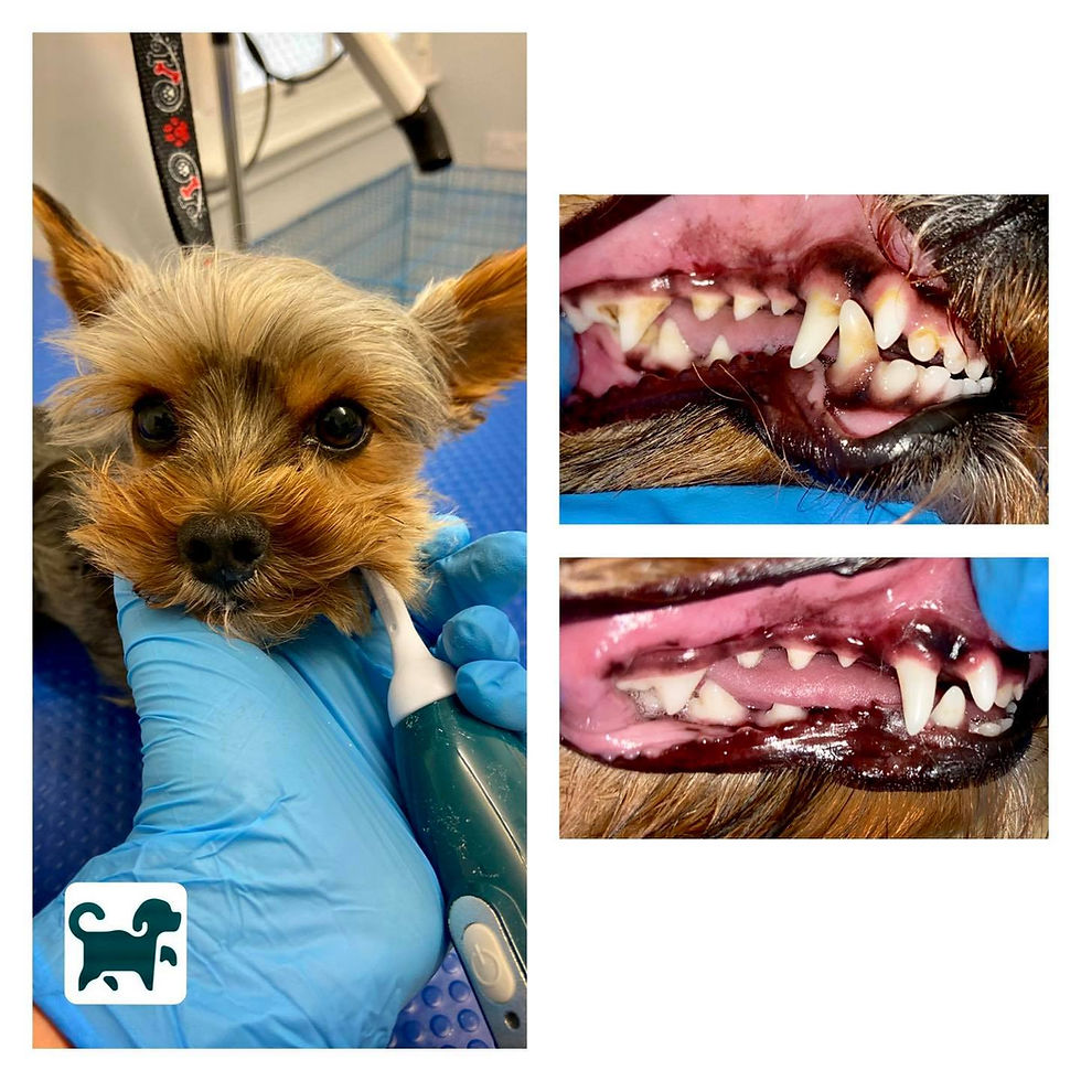 253854425_129475796118582_8686529621270498976_n