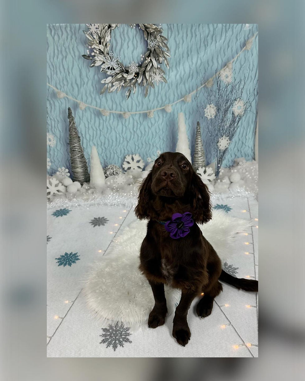 398181160_350404384028581_7670968780456991063_n