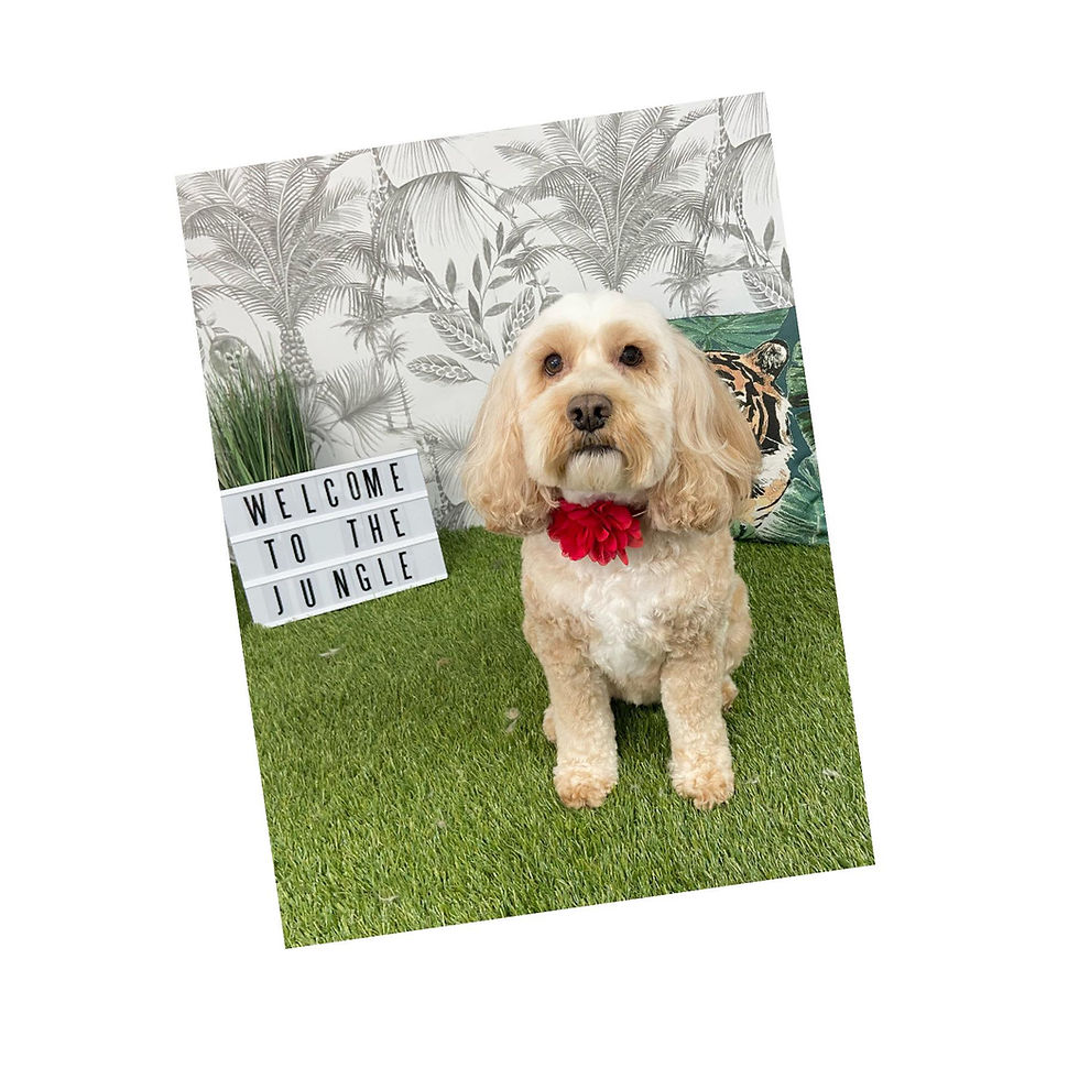 290840705_3213491945644778_4164302404197834977_n